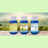 Dosimax Gold 45SC-vàng