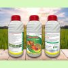 Samsinate 900ml- Phượng hoàng lửa