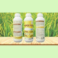 PK Sao Nong 70-5-2